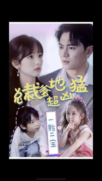 河北seo查询哪个适用